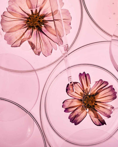 The Ultimate Guide to Understanding Rosacea , Sarah Zimmer , Rosacea, Skincare, wellbeing , NAYA , nayaglow.com