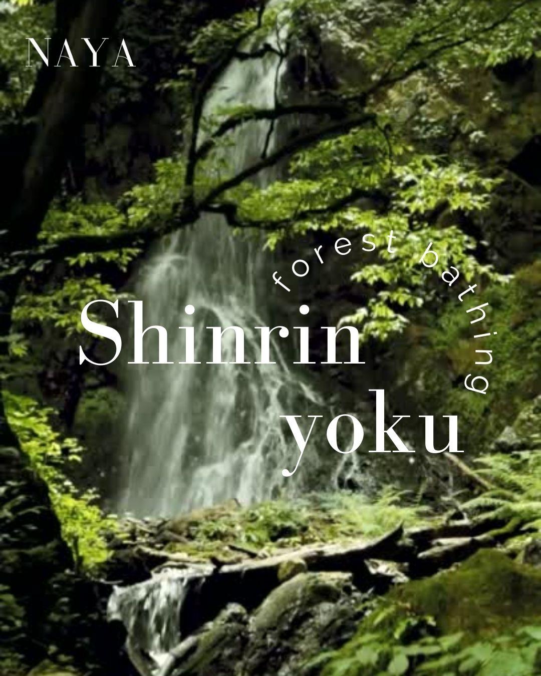 Why forest bathing is so great for our skin , Sarah Zimmer , wellbeing , NAYA , nayaglow.com