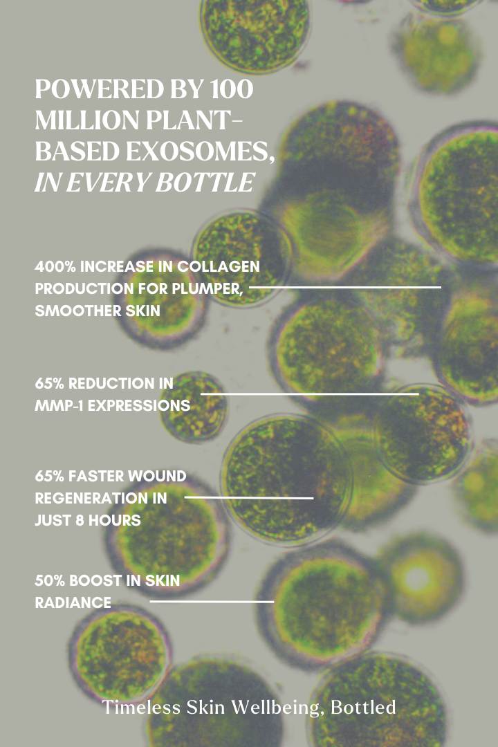 EXOSOMES | Exo Timeless ReGen Serum