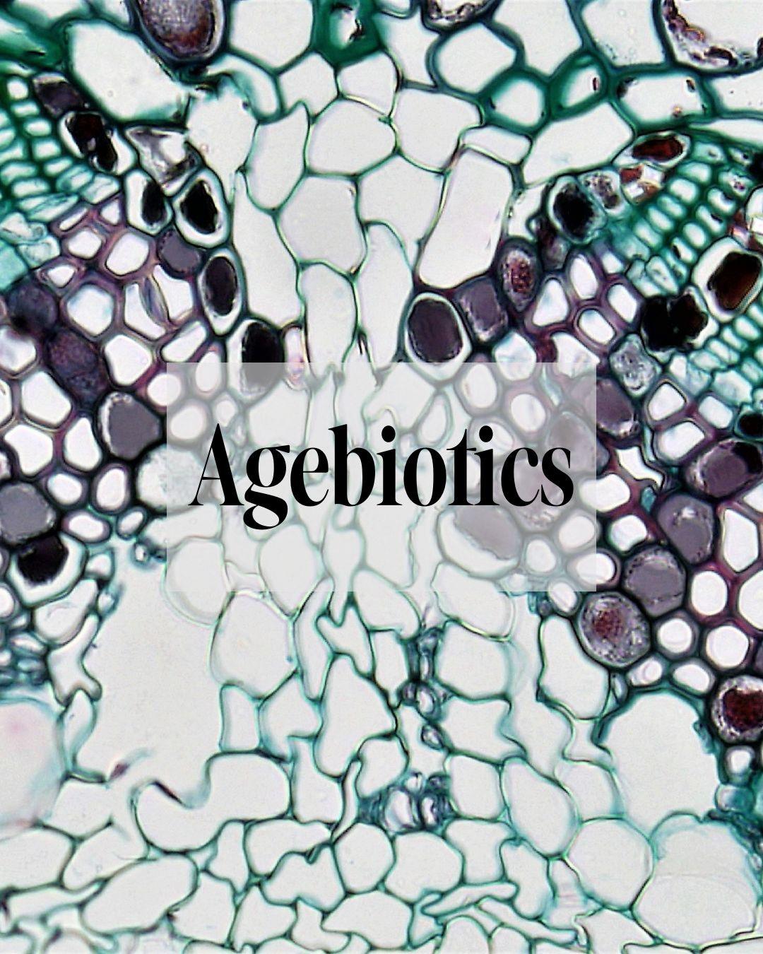 What Are Agebiotics? A Revolutionary Path to Ageless Beauty