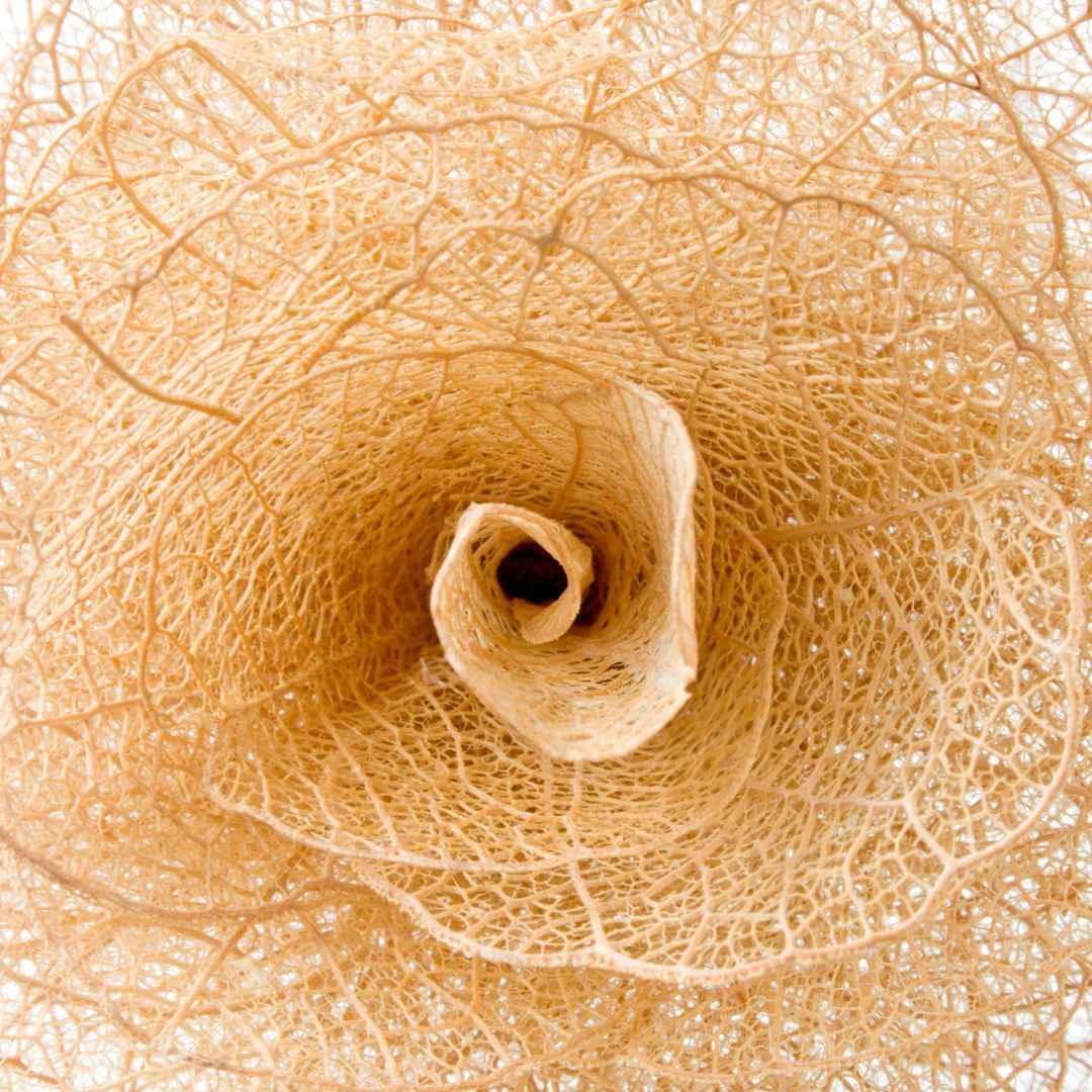 Dry Skin Checklist - Barrier Mistakes & How to Fix Them