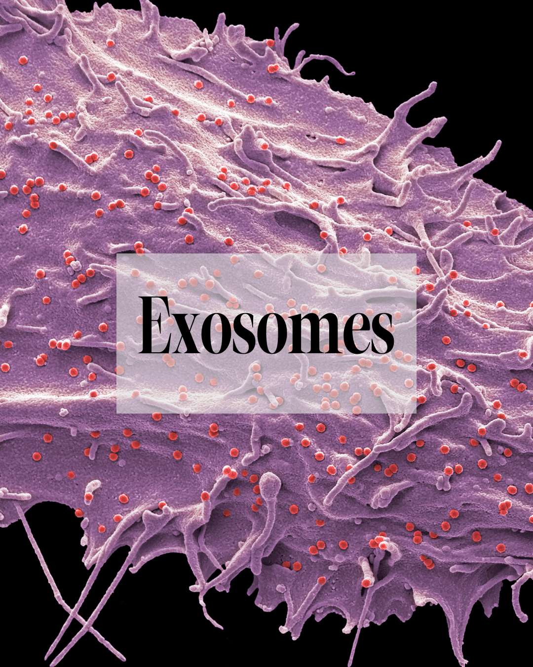 Everything You Need to Know About Exosomes for Skin