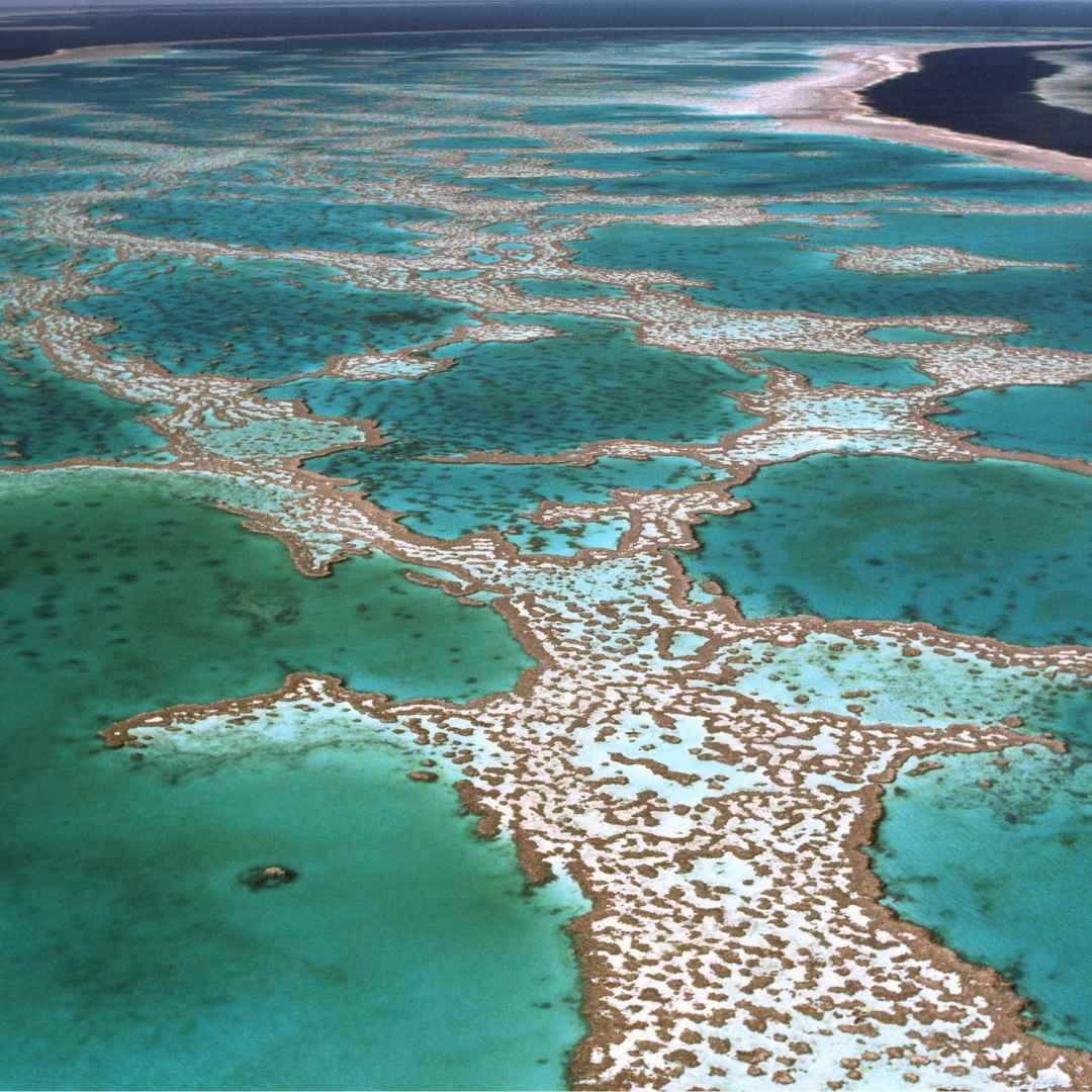 How to Optimise Your Skin Barrier Function , Sarah Zimmer , , NAYA , nayaglow.com