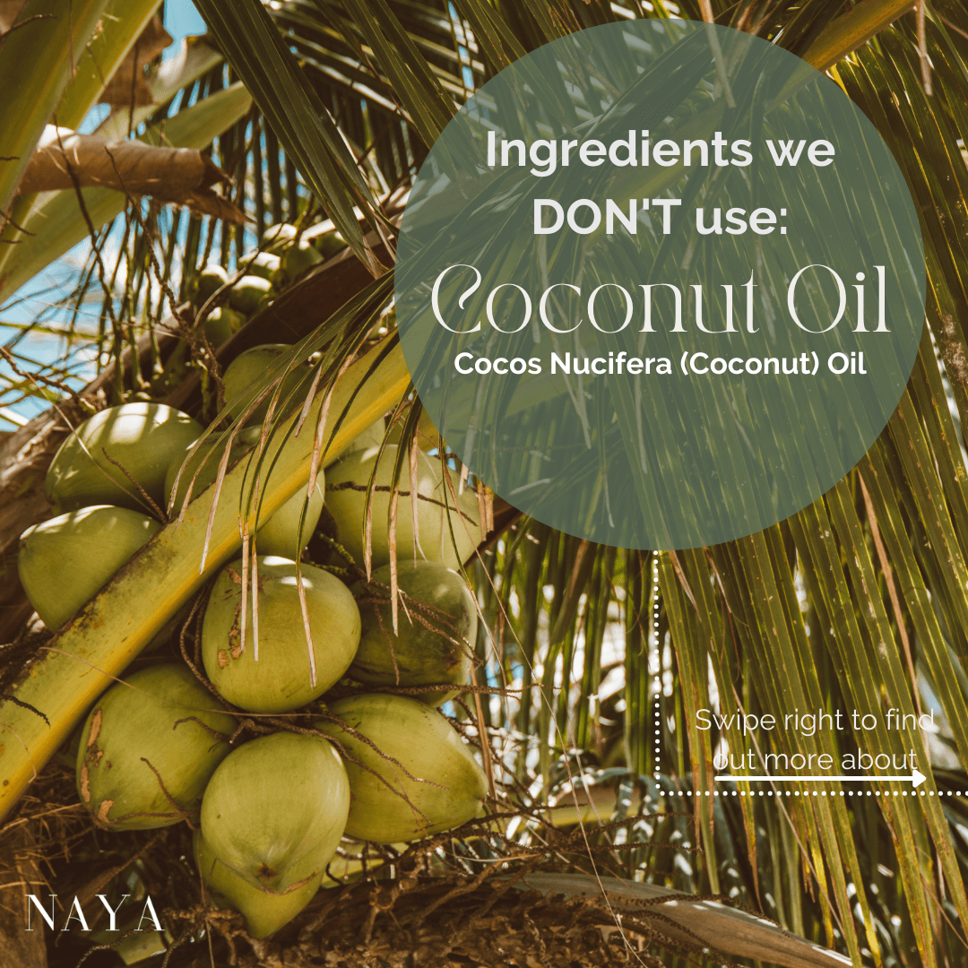 Ingredients we don't use: Coconut Oil , Sarah Zimmer , Product Knowledge , NAYA , nayaglow.com
