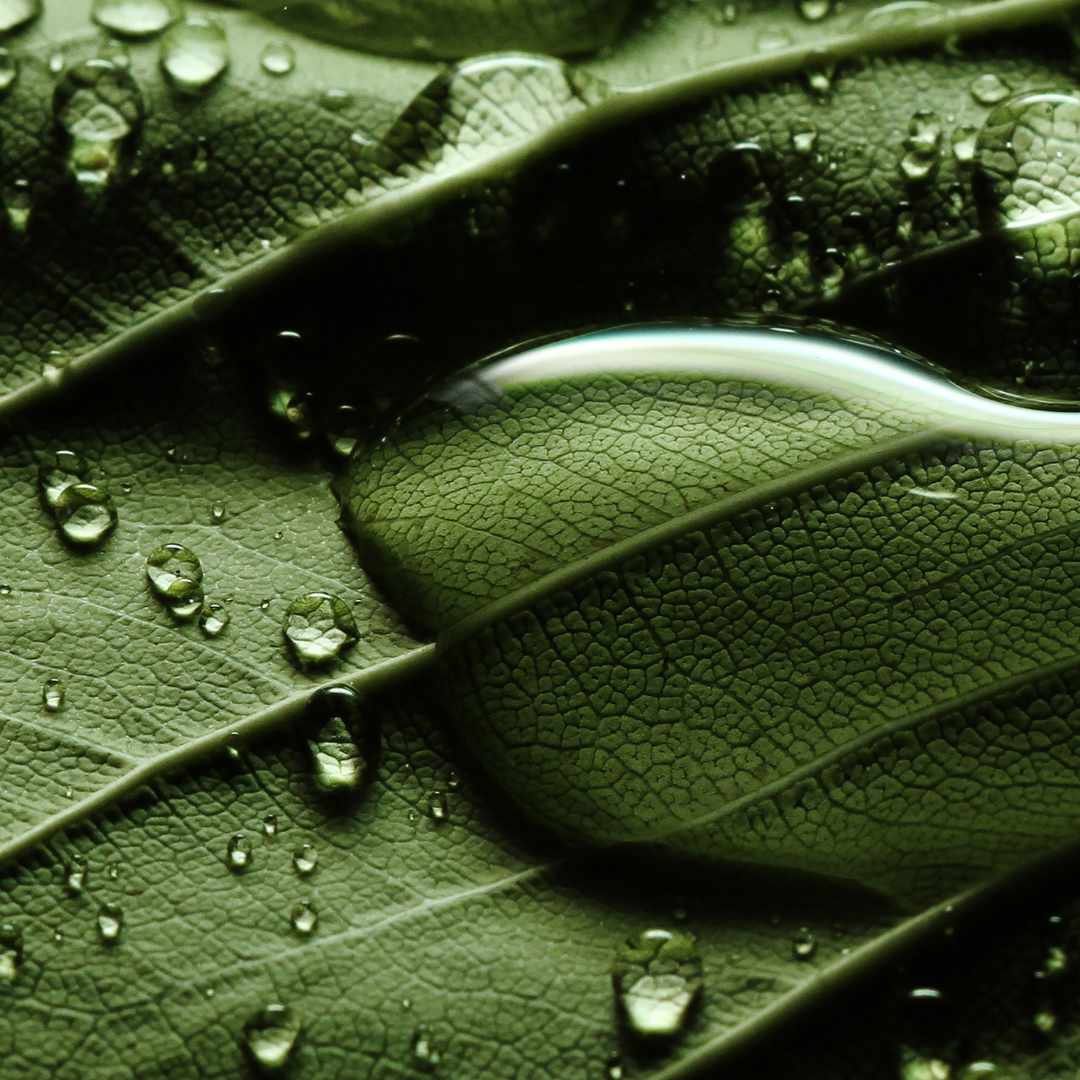 Why ‘Oily’ Skin Can Be Dehydrated (and Break Out Because of It)