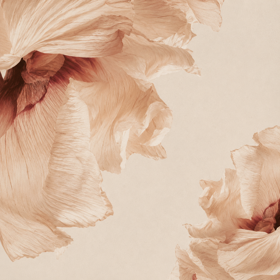 How to Identify and Prevent Rosacea: Stages, Triggers and Skin Care