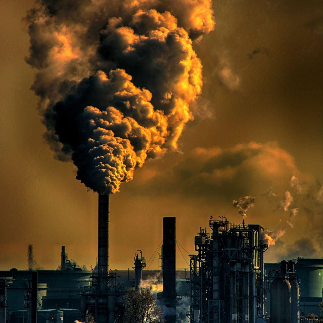 The EARTH is Burning - What About our Climate? , Sarah Zimmer , Sustainability , NAYA , nayaglow.com