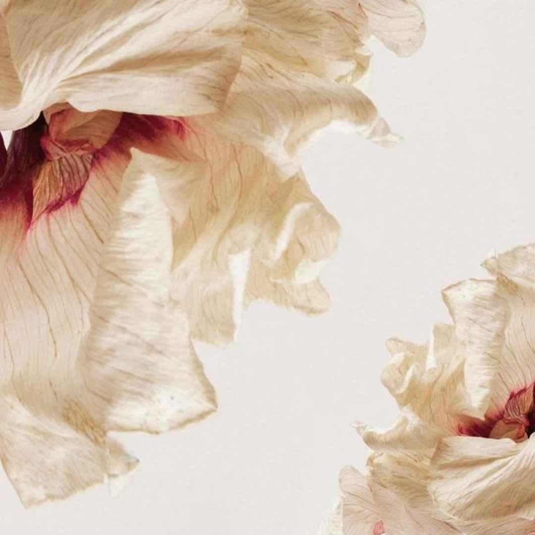 What is the Difference between Couperose Skin Vs. Rosacea , Sarah Zimmer , Skincare , NAYA , nayaglow.com