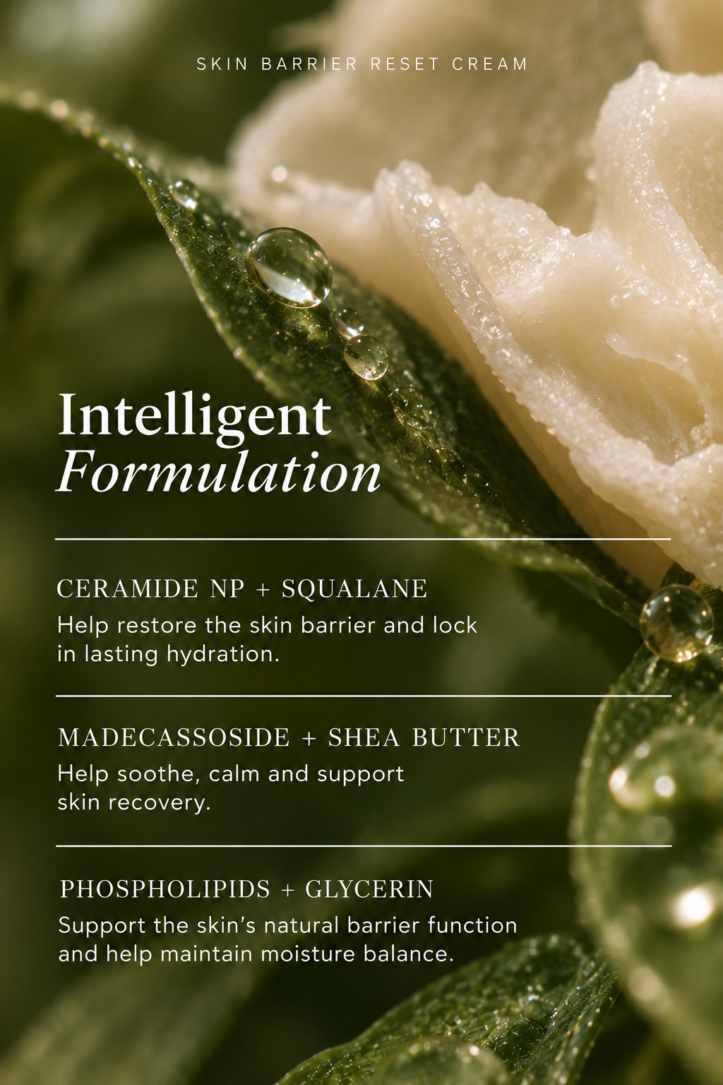 NAYA Skin Barrier Reset Cream product image on a light background.