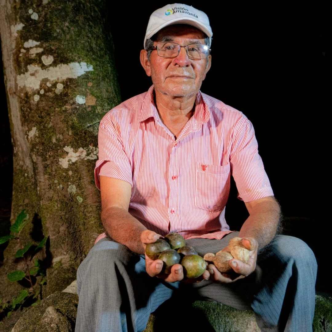 cacay farmer in jungle with cacay nuts in hands
