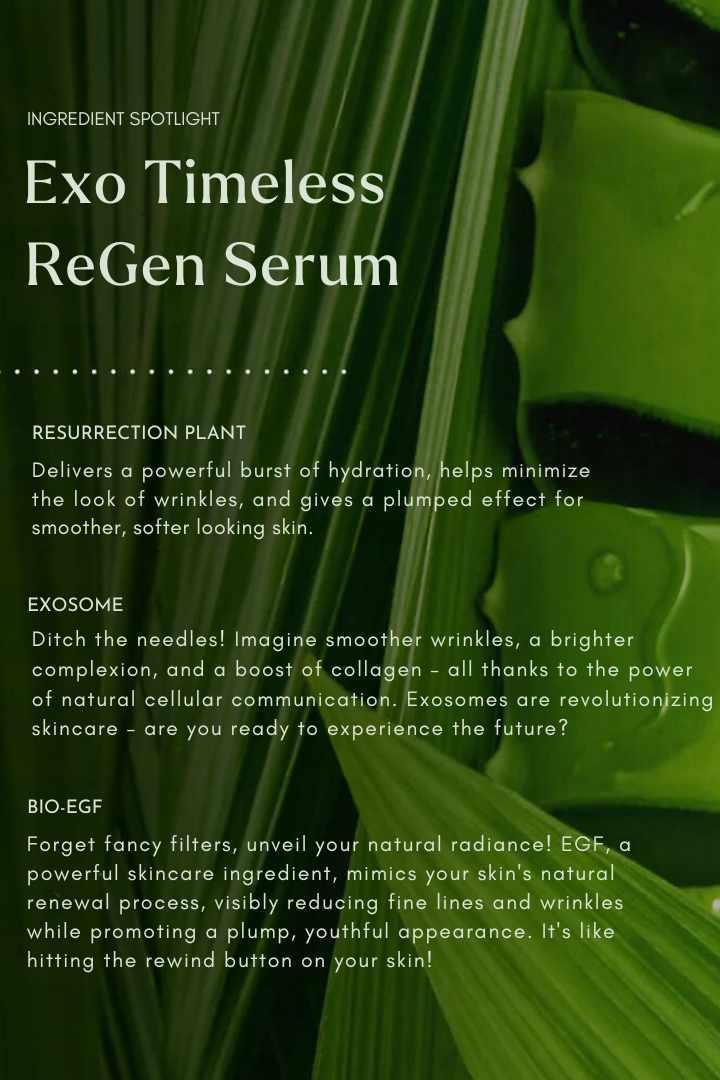 Reinvigorate Me | EXOSOMES | Exo Timeless ReGen Serum (Collagen & Skin Barrier Serum)