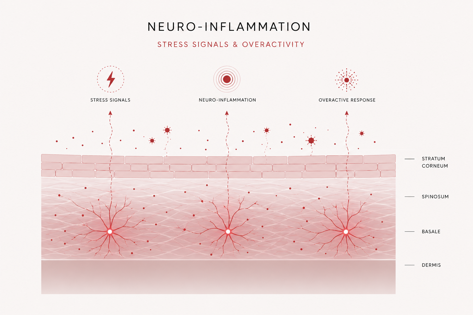 STRESS SIGNALS & OVERACTIVITY