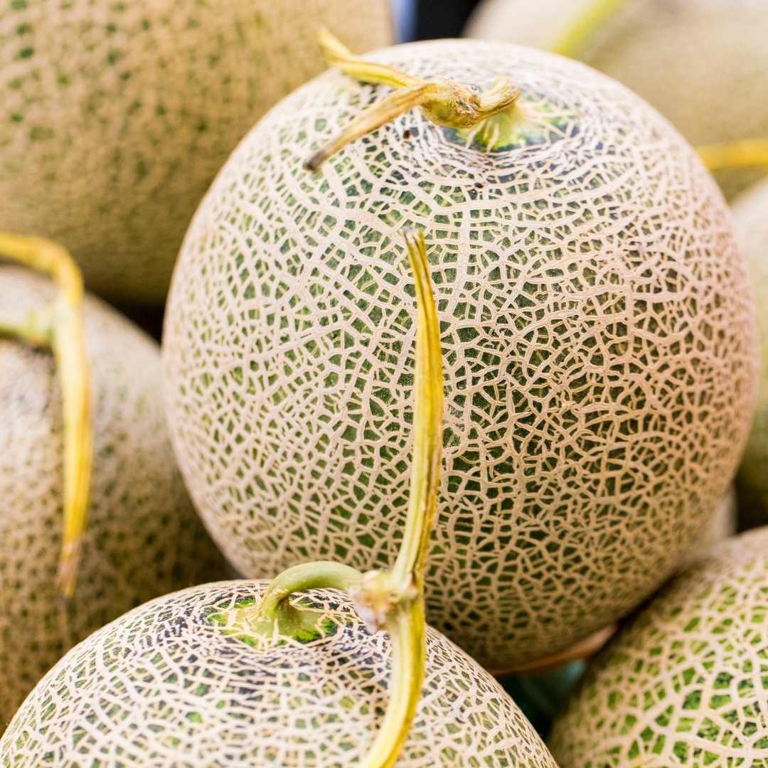 multiple melons in blow