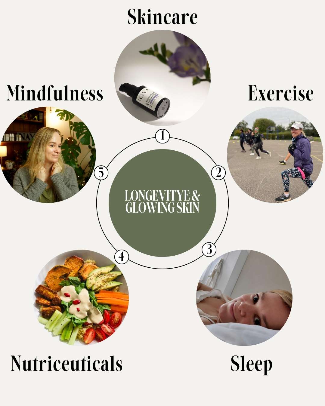 longevity wellness wheel naya