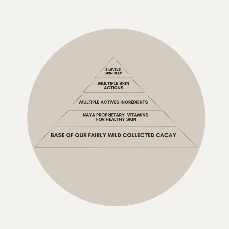 beige coloured circle with a pyramide outlining naya's formulation philosophie