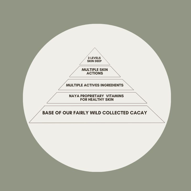 Beige Circle with a Pyramide outlining naya's formulation philosophie