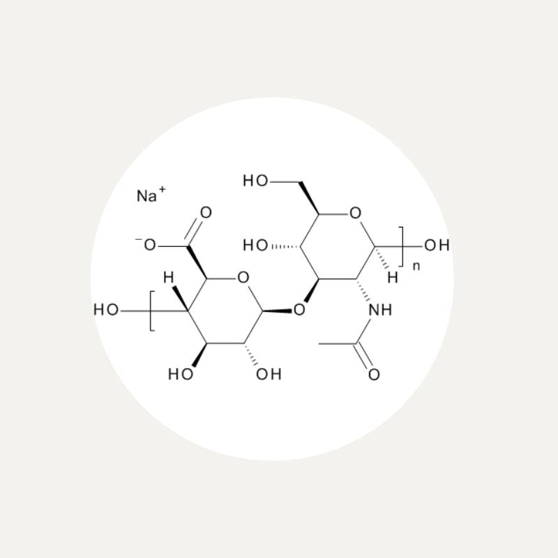 white circle outlining the hyaluronic acid chemistry formula