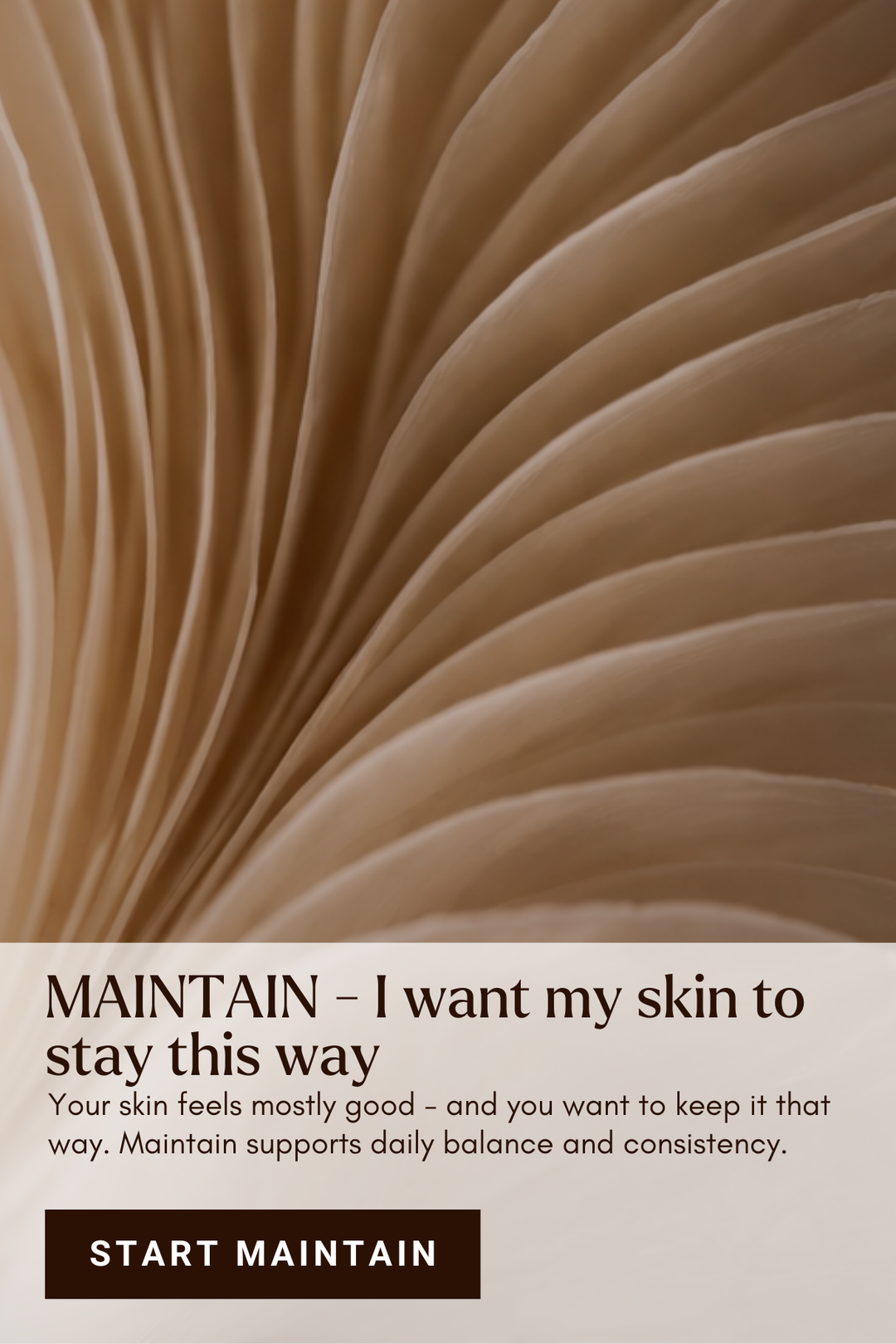 Close-up of mushroom gills with text about maintaining skin health on a beige background